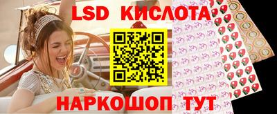 амф Новодвинск