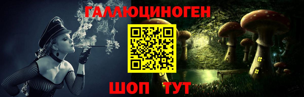 Псилоцибиновые грибы Psilocybe  Вход с VPN  Россошь 